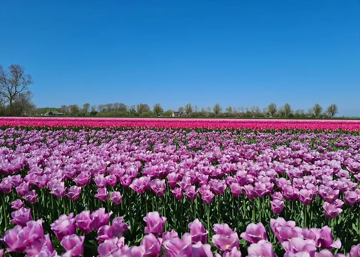 펜션 Coco House Op Recreatiepark De Wielen *